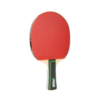 Stoni tenis